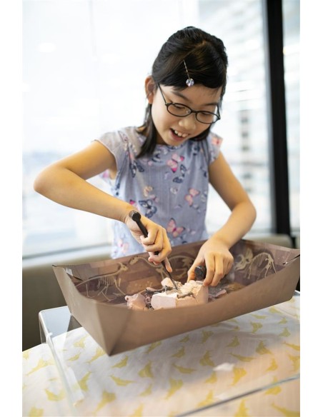 El Mundo de los Dinosaurios -  STEAM