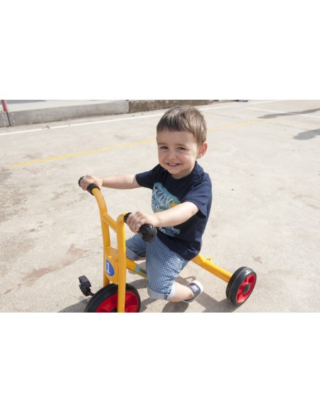 Tricicle infantil de 2 a 4 anys