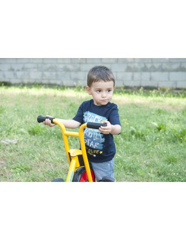Triciclo infantil de 2 a 4 años