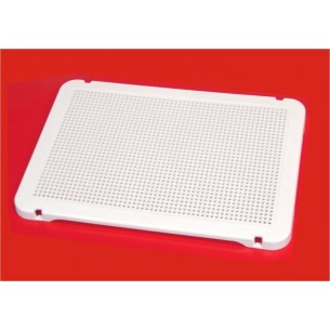 Placa blanca para pinchos 2