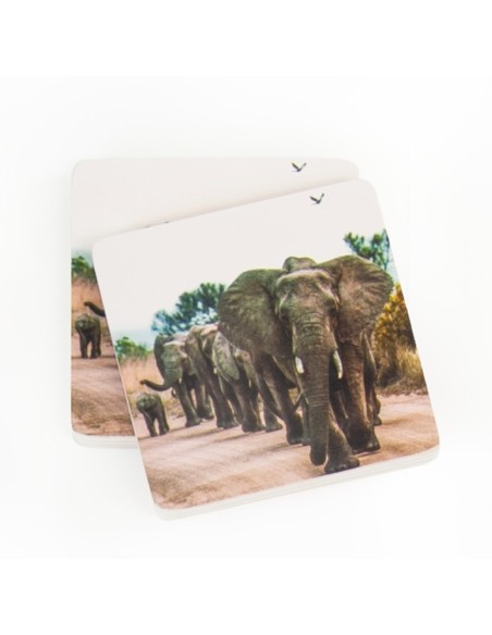 Juego de memoria con fotografías