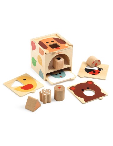 Primera Edat BoxBasic