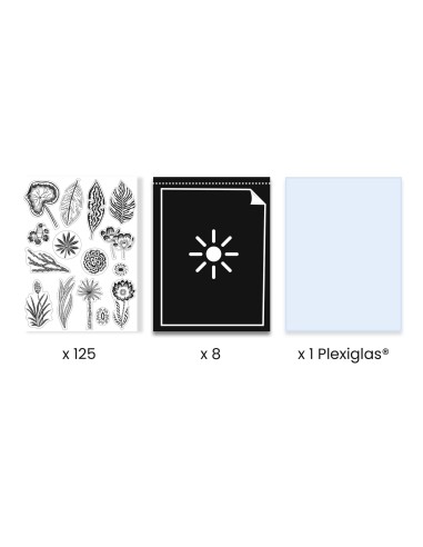 Taller de negatiu La Sabana