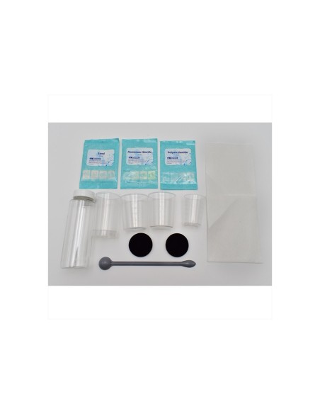 Manualidad - Ciencia de limpiar el agua