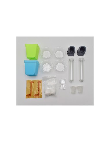 Manualidad - Descubre el crecimiento...