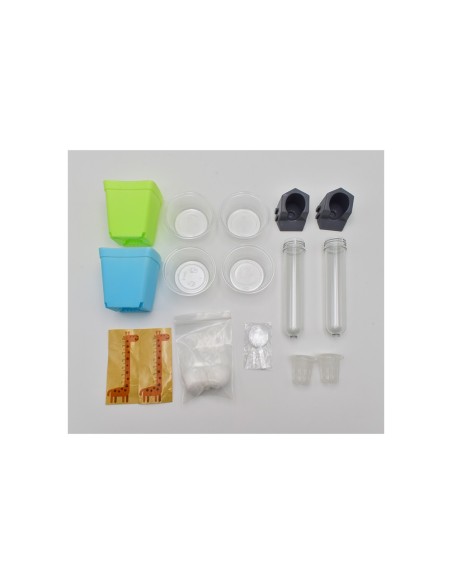 Manualitat - Descobreix el creixement de les plantes