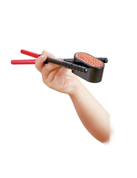 ¡Hoy comemos sushi!