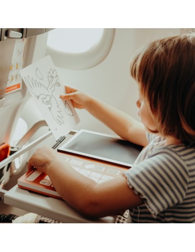 Kidydraw-Mini Dinosaurios