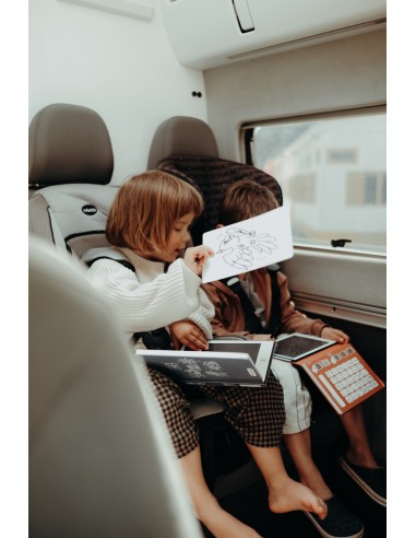 Kidydraw-Mini Dinosaurios