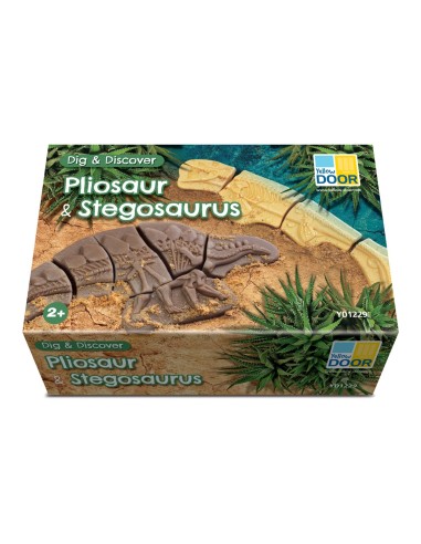 Descobreix fòssils - Pliosaur i...