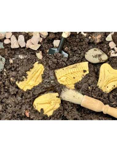 Descobreix fòssils - Pliosaur i...