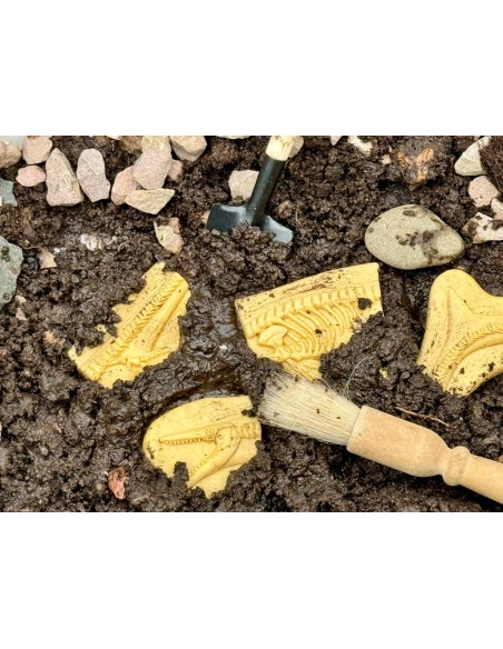 Descubre fósiles - Pliosaur y Stegosaurus