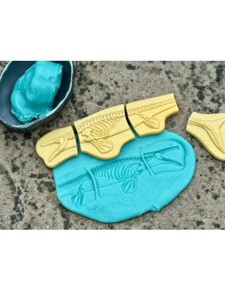 Descubre fósiles - Pliosaur y Stegosaurus