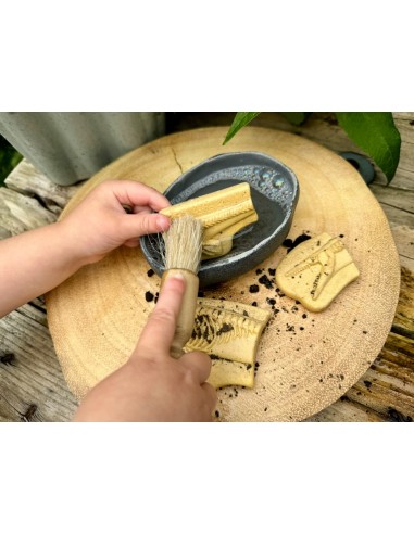 Descobreix fòssils - Pliosaur i...