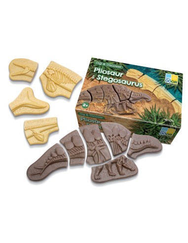 Descubre fósiles - Pliosaur y...