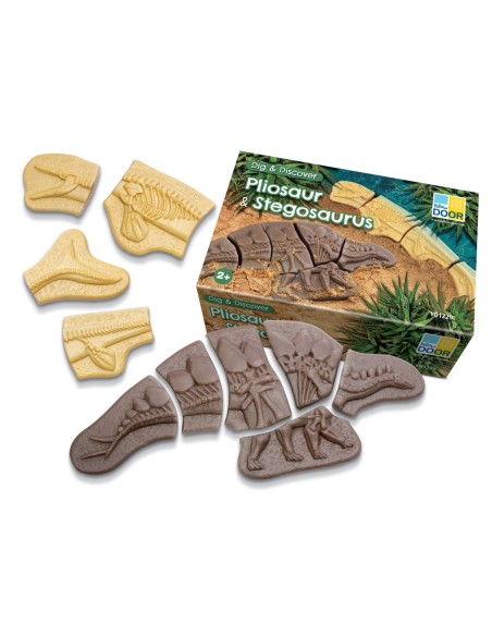 Descobreix fòssils - Pliosaur i Stegosaurus