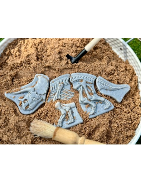 Descubre fósiles - Triceratops y Spinosaurus