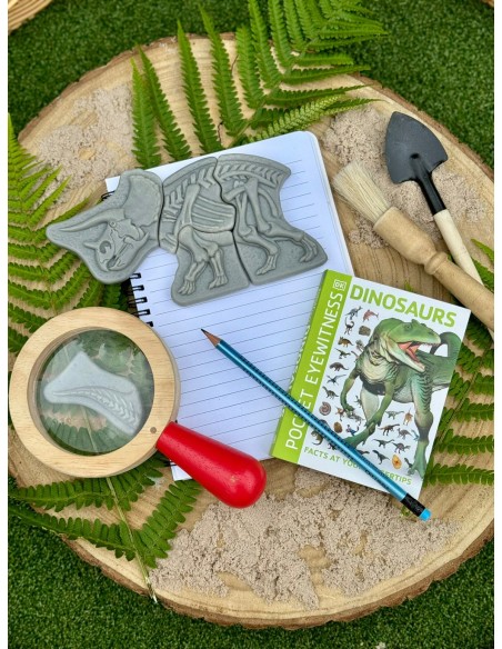 Descubre fósiles - Triceratops y Spinosaurus