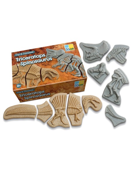Descubre fósiles - Triceratops y Spinosaurus