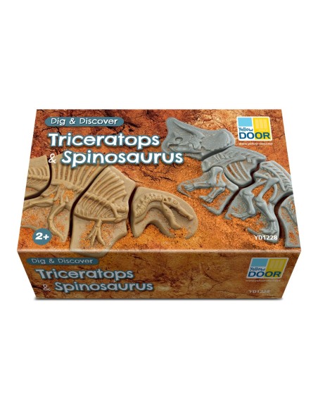 Descubre fósiles - Triceratops y Spinosaurus