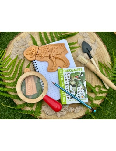 Descobreix fòssils - Ankylosaurus &...