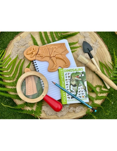 Descubre fósiles - Ankylosaurus & Tyrannosaurus rex