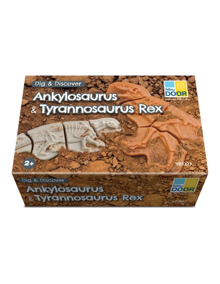 Descubre fósiles - Ankylosaurus & Tyrannosaurus rex