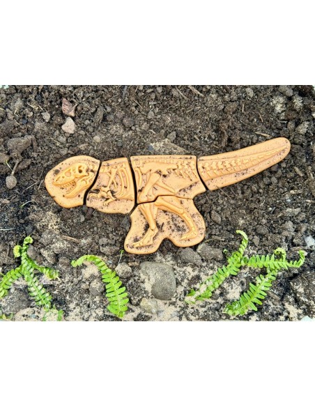 Descobreix fòssils - Ankylosaurus & Tyrannosaurus rex