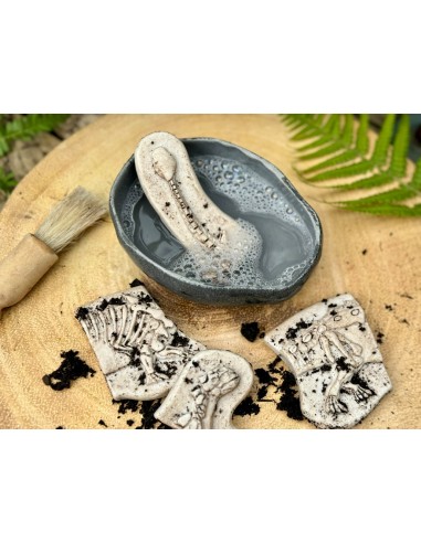 Descobreix fòssils - Ankylosaurus &...