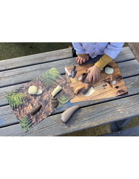 Targetes d'activitats de Dents Prehistòriques