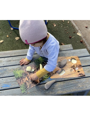 Targetes d'activitats de Dents...