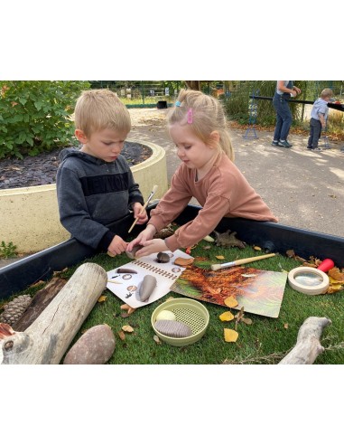 Targetes d'activitats de Dents...