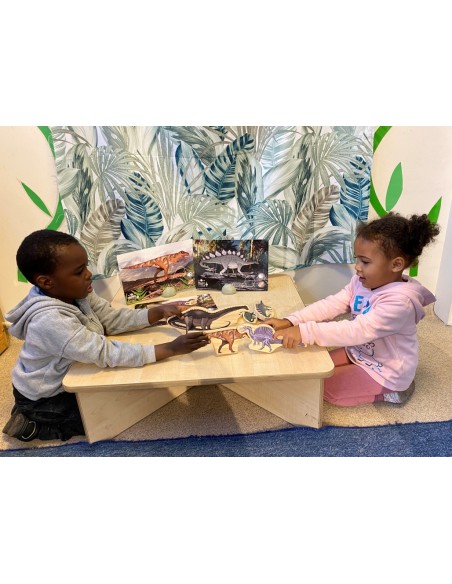 Targetes d'activitats de Dents Prehistòriques