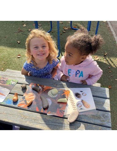 Targetes d'activitats de Dents...