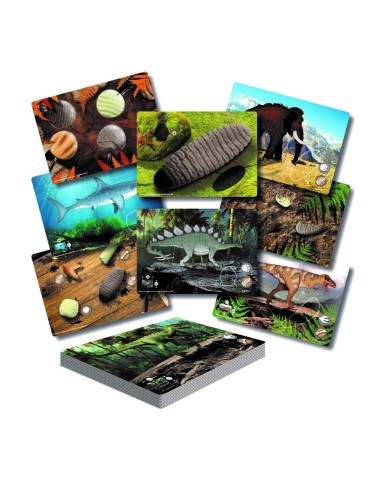 Targetes d'activitats de Dents...