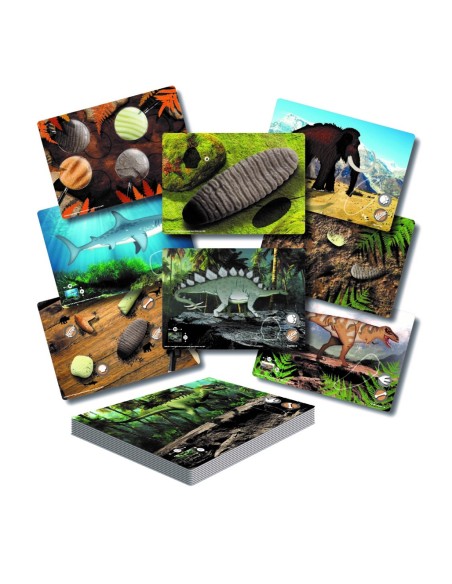 Targetes d'activitats de Dents Prehistòriques