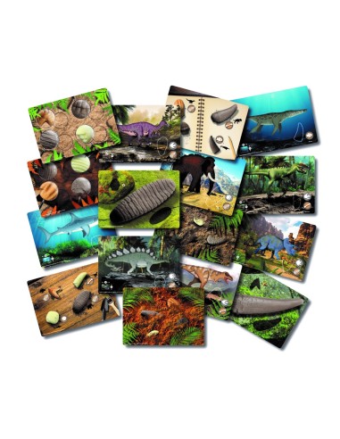 Tarjetas de actividades de Dientes...