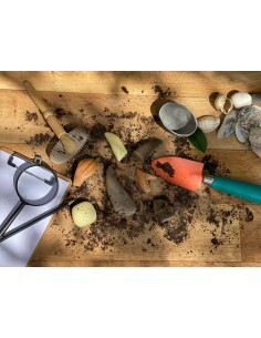 Dientes prehistóricos - 8... 2