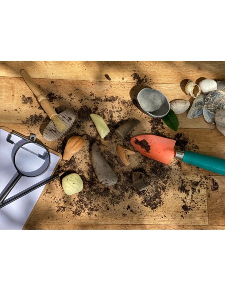 Dents prehistòriques - 8 peces