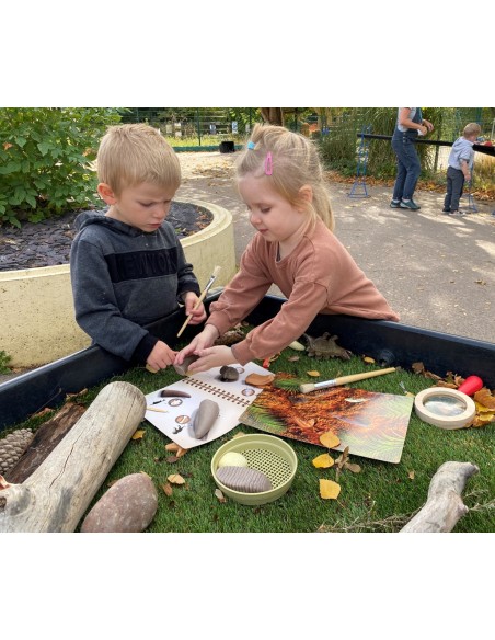 Dents prehistòriques - 8 peces