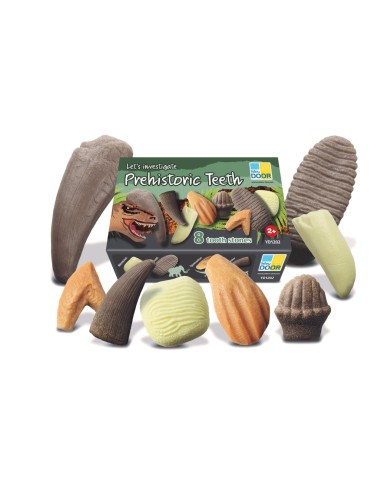 Dents prehistòriques - 8 peces