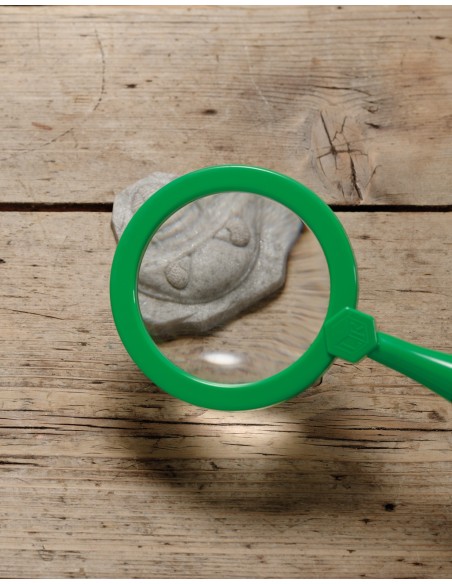 Piedras táctiles - Fósiles