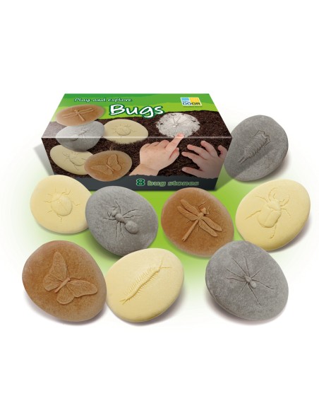 Piedras táctiles - Insectos