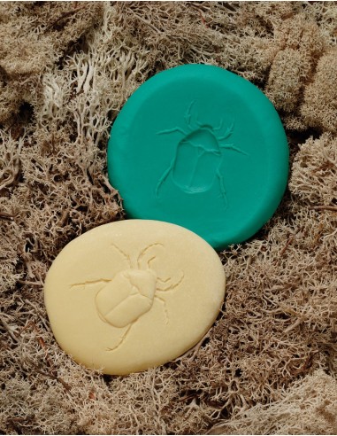 Piedras táctiles - Insectos