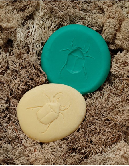 Piedras táctiles - Insectos