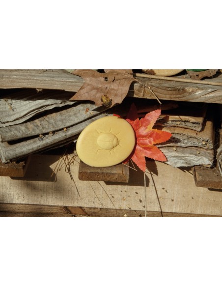 Pedres tàctils - Insectes