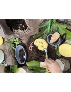 Pedres tàctils - Insectes 2