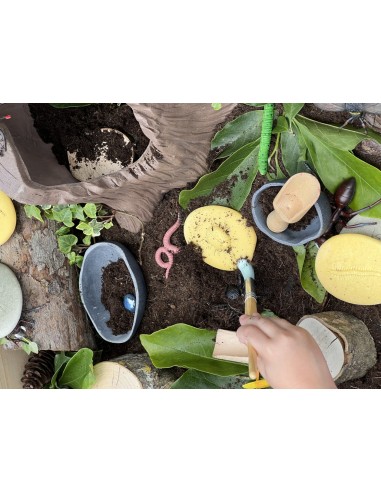 Piedras táctiles - Insectos