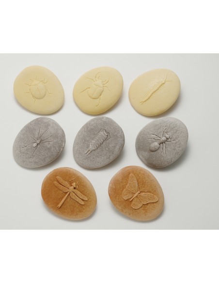 Piedras táctiles - Insectos