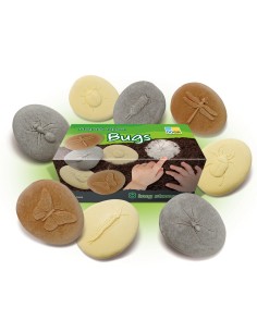 Piedras táctiles - Insectos